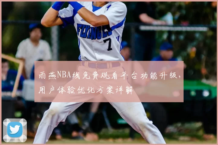 雨燕NBA线免费观看平台功能升级，用户体验优化方案详解