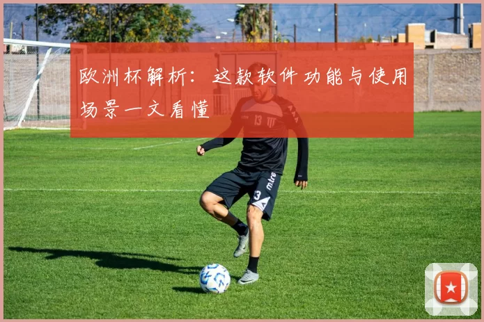 欧洲杯解析:这款软件功能与使用场景一文看懂