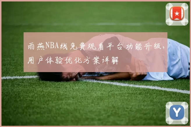 雨燕NBA线免费观看平台功能升级，用户体验优化方案详解