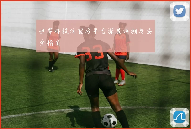 世界杯投注官方平台深度评测与安全指南