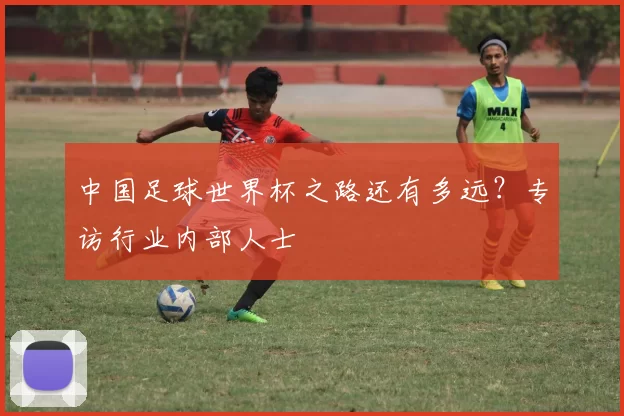 中国足球世界杯之路还有多远？专访行业内部人士