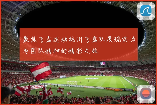 聚焦飞盘运动杭州飞盘队展现实力与团队精神的精彩之旅