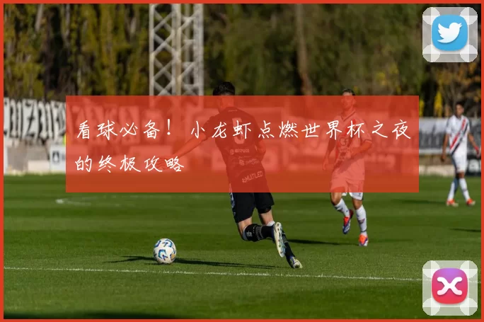 看球必备!小龙虾点燃世界杯之夜的终极攻略