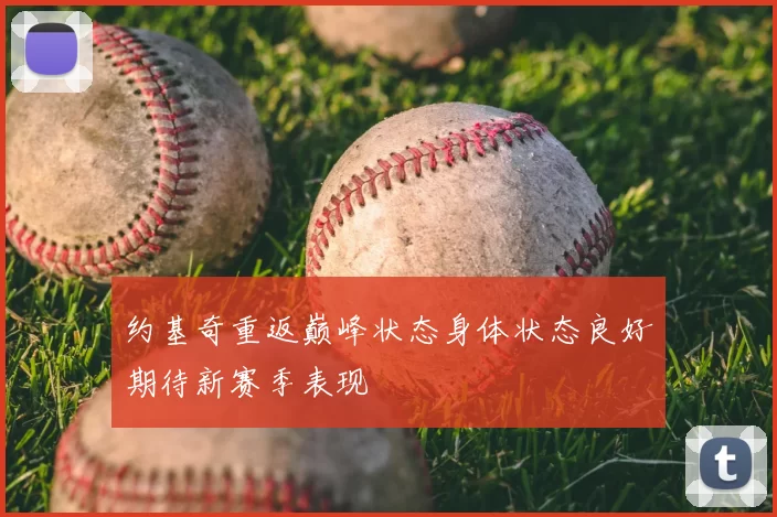 约基奇重返巅峰状态身体状态良好期待新赛季表现