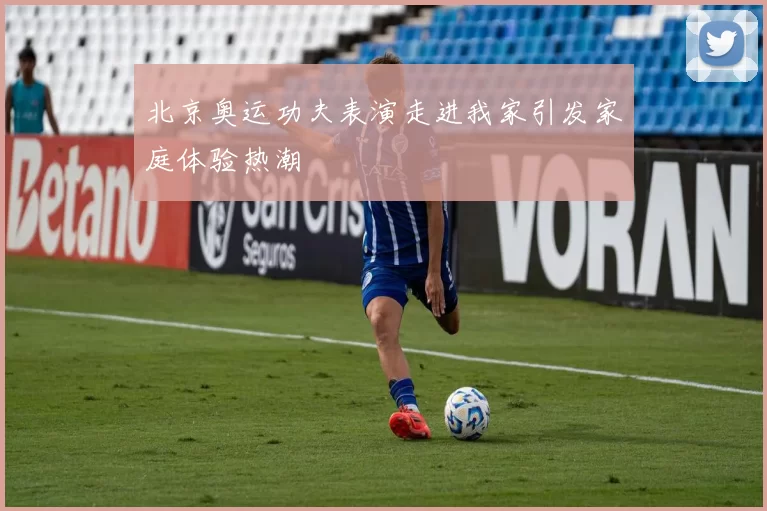 北京奥运功夫表演走进我家引发家庭体验热潮