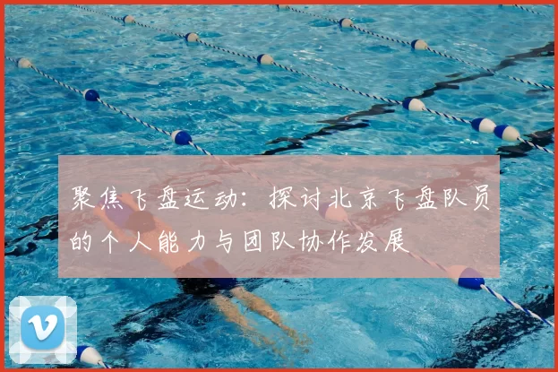 聚焦飞盘运动：探讨北京飞盘队员的个人能力与团队协作发展
