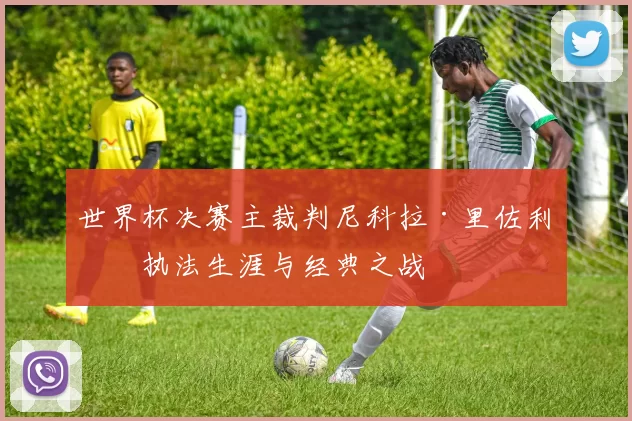 世界杯决赛主裁判尼科拉·里佐利的执法生涯与经典之战