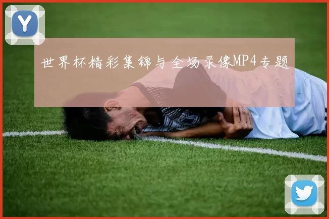 世界杯精彩集锦与全场录像MP4专题