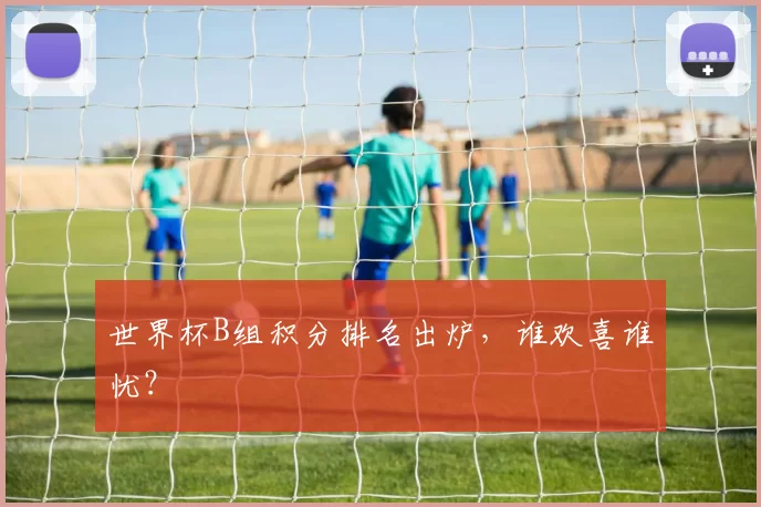 世界杯B组积分排名出炉,谁欢喜谁忧?