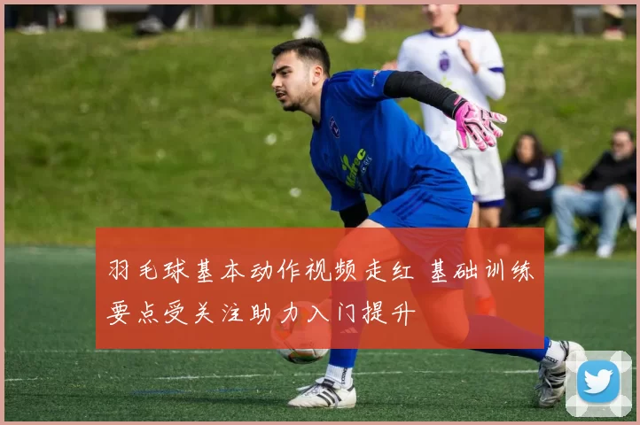 羽毛球基本动作视频走红 基础训练要点受关注助力入门提升