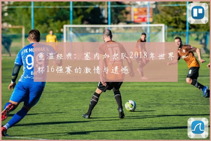 重温经典:塞内加尔队2018年世界杯16强赛的激情与遗憾