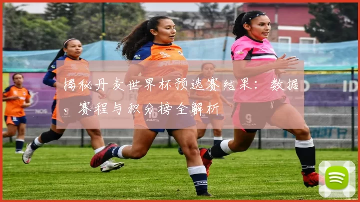 揭秘丹麦世界杯预选赛结果：数据、赛程与积分榜全解析
