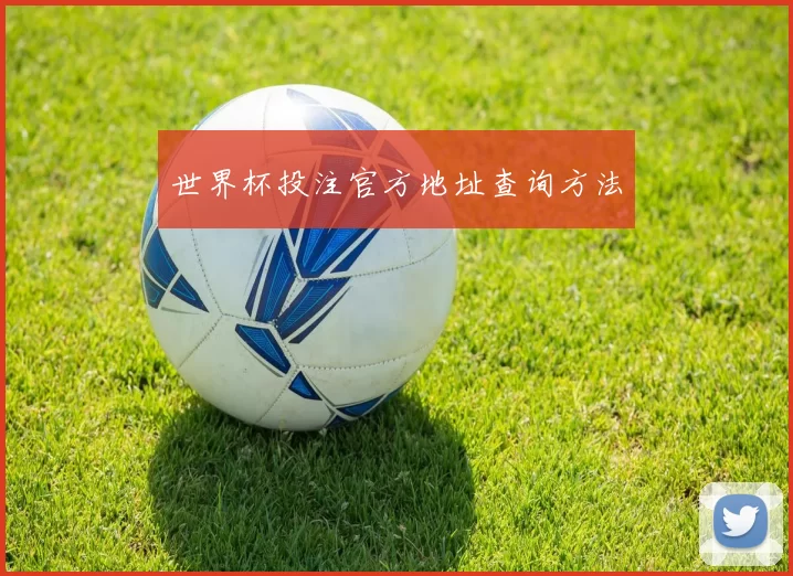 世界杯投注官方地址查询方法