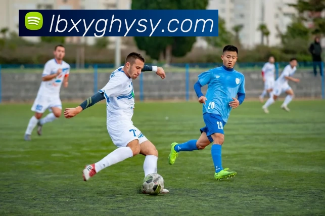 多媒体互动体验