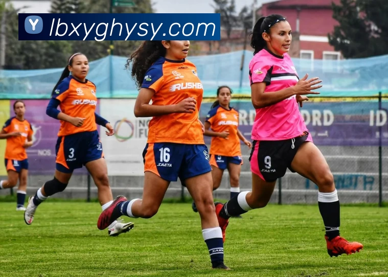 华体会APP 体育赛事宣传图